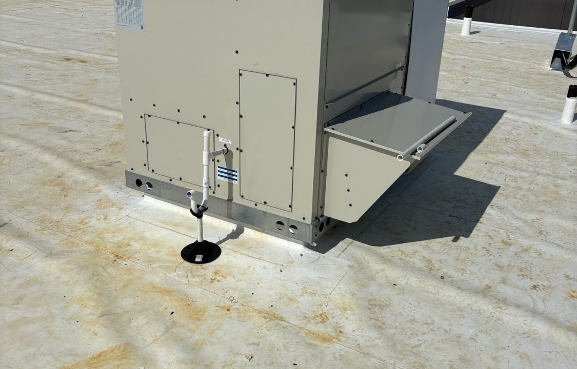 QnutVmud4S-103119-medium (1) QnutVmud4S-103119-medium (1)